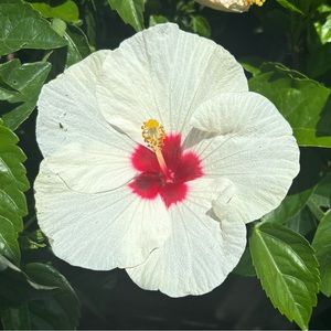 Meet your Posher, Berlin